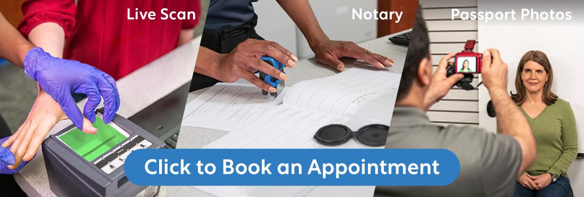 Book Now