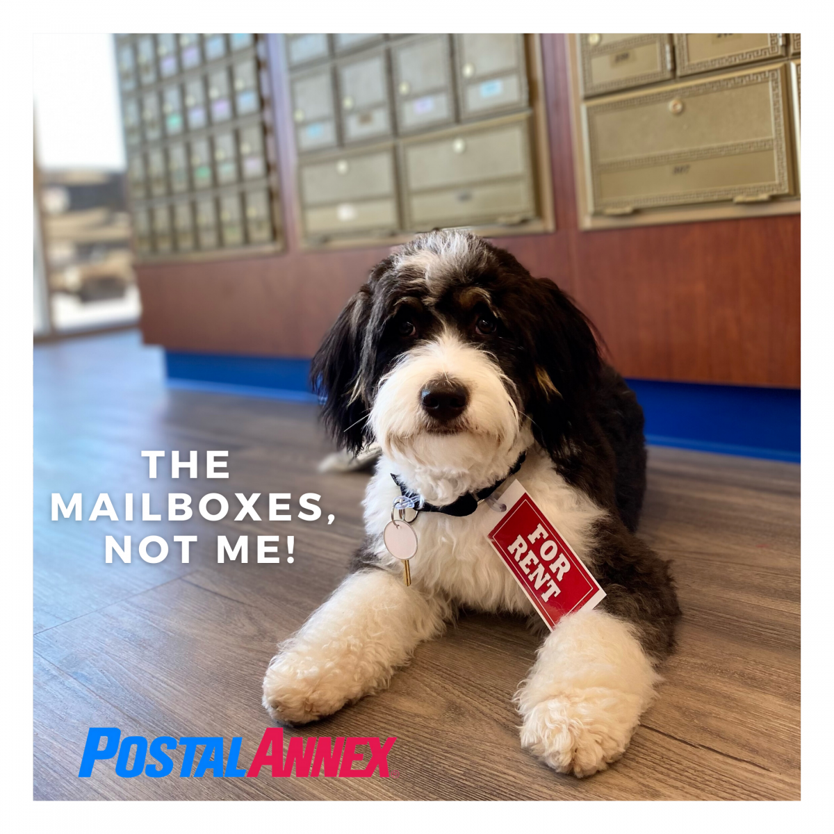 Mailbox Rentals Available