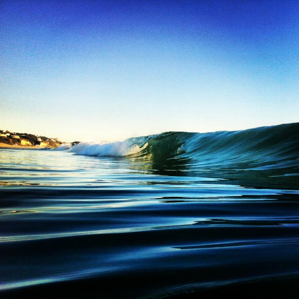 Malibu Makos Surf Club